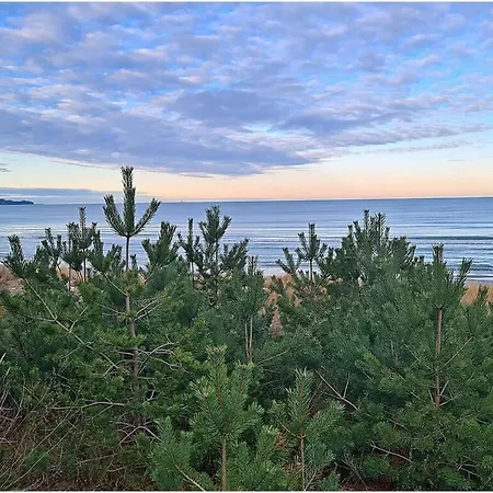 Patricia Comfortable